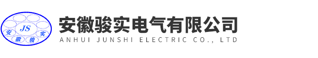 安徽駿實電氣有限公司